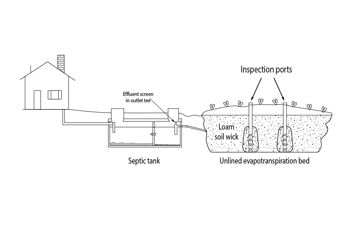 Septic tank to unlined evapotranspiration (ET) bed