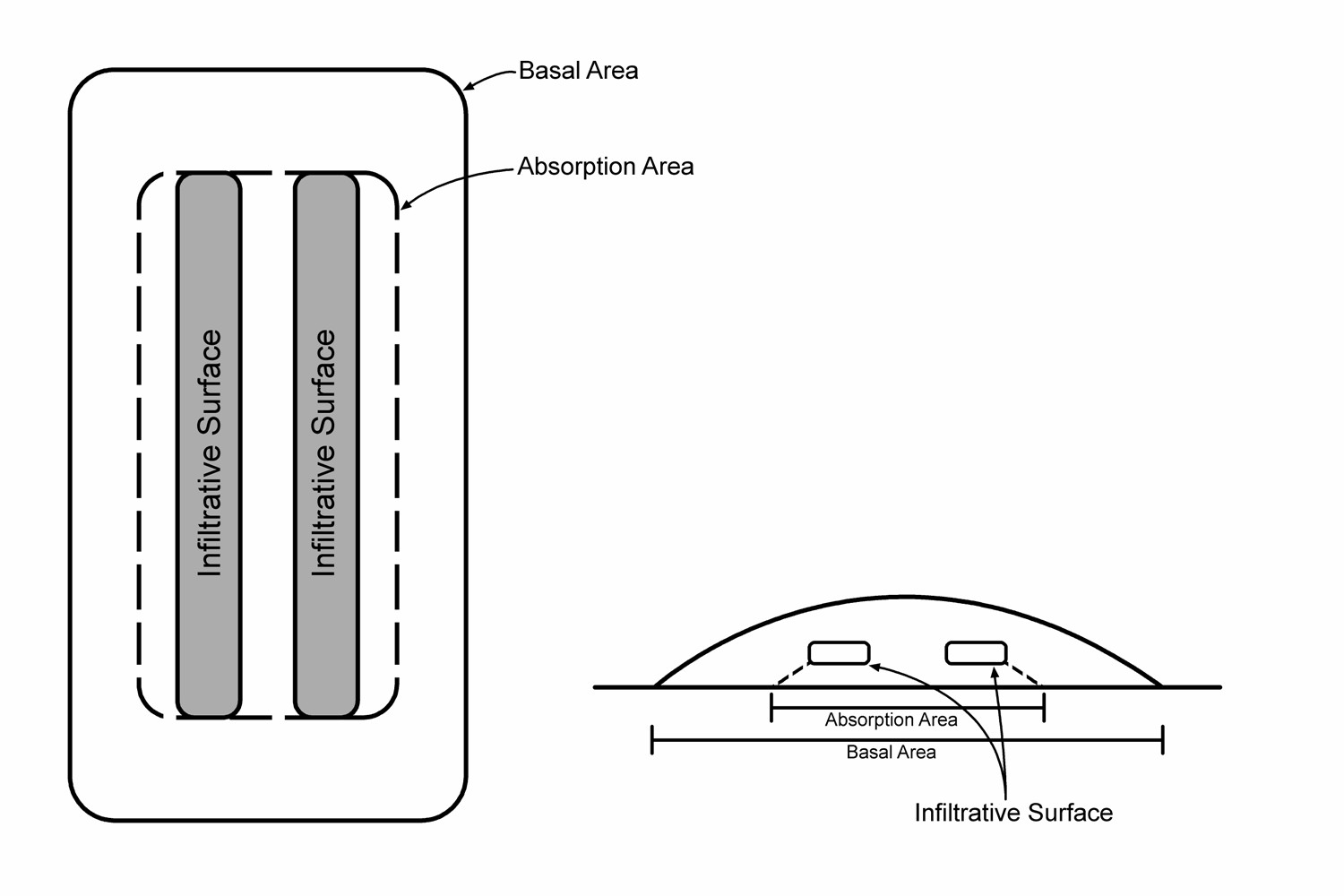 Absorption area level site