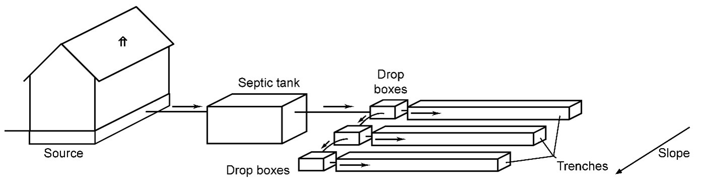 Distribution, sequential
