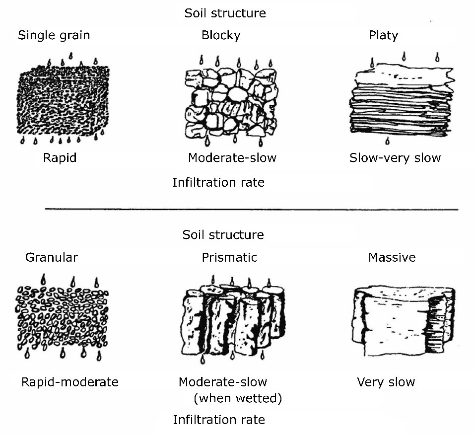Soil structure and water movement