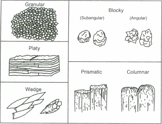 Soil structure