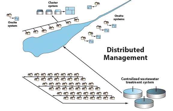 Management series, distributed