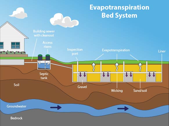 Evapotranspiration bed