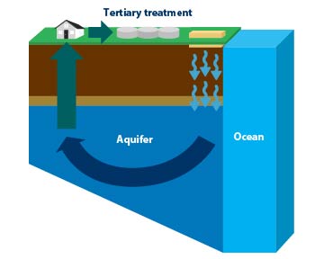 Aquifer storage and recovery - rapid infiltration